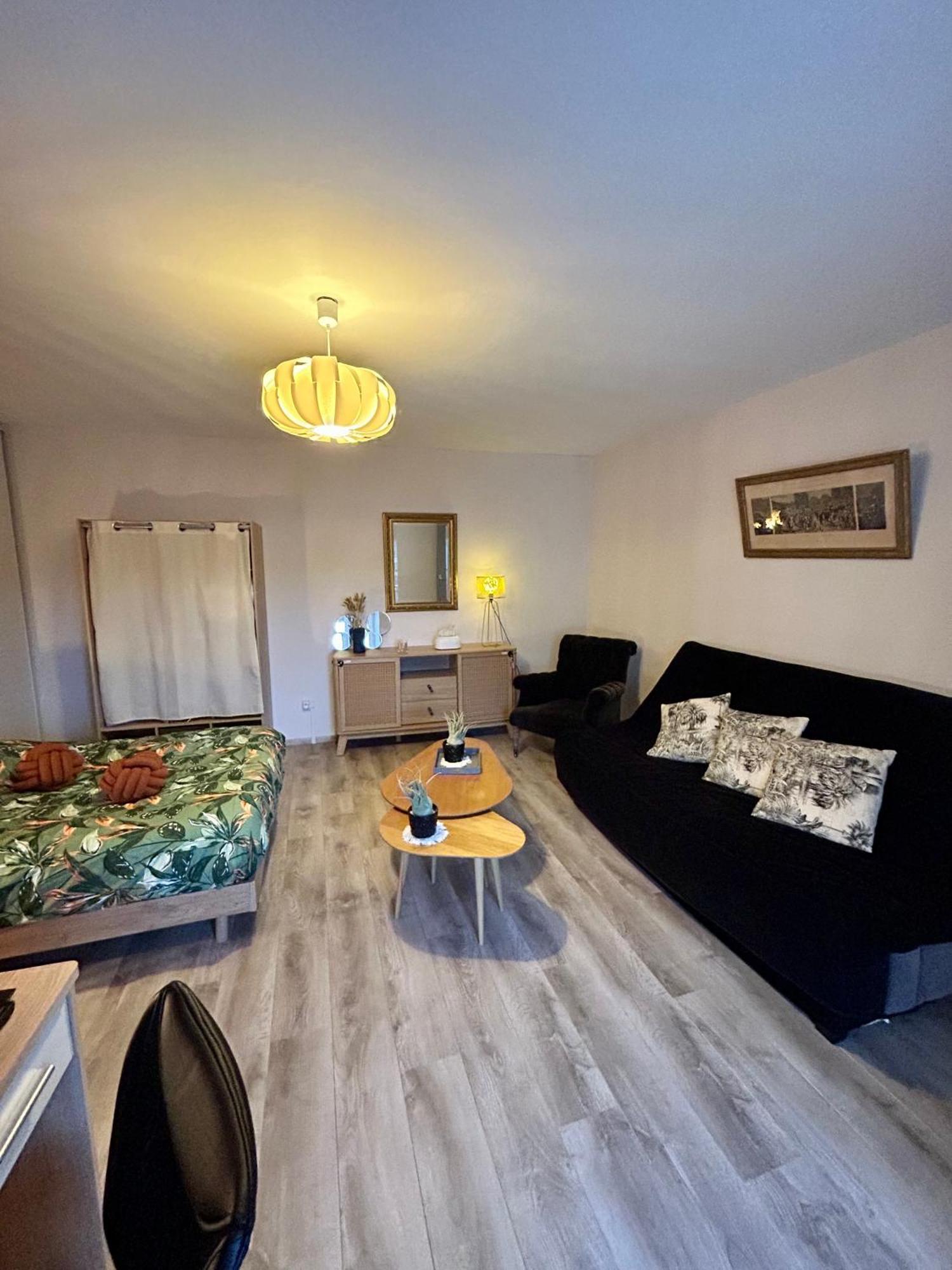Charmant Studio De 50 M2 Chaumont  Exterior foto